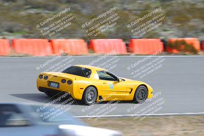 media/Feb-25-2024-Touge2Track (Sun) [[ed4a1e54f3]]/Green/Morning session/Bowl/